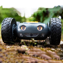 Load image into Gallery viewer, Rugged Robot