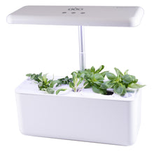 Load image into Gallery viewer, TTS Hydroponic Smart Garden with Camera