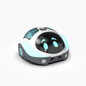 Loti-Bot Programmable Floor Robot