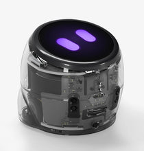 Load image into Gallery viewer, Ozobot - Ari Classroom Kit - 18 Bots