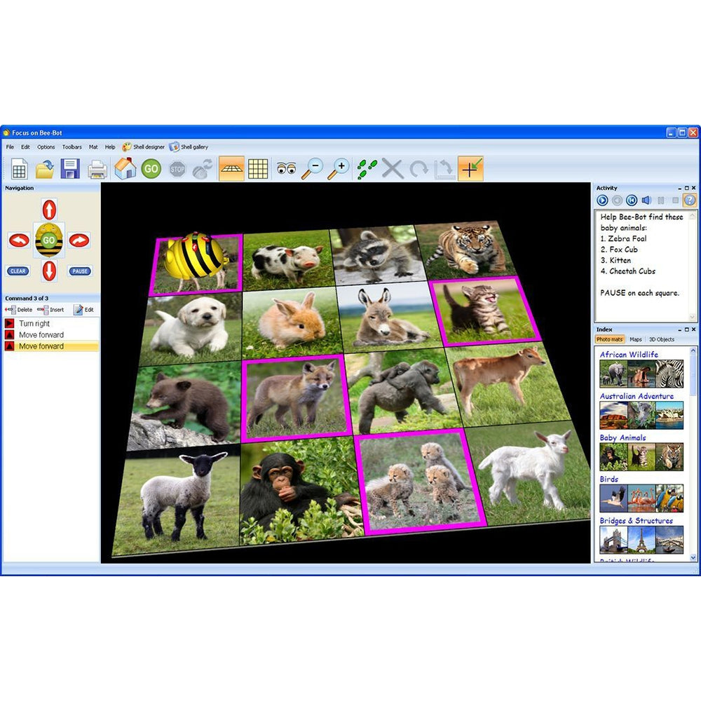 Bee-Bot Software - Lesson Activities 3 - Single User