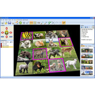 Bee-Bot Software - Lesson Activities 3 - Single User