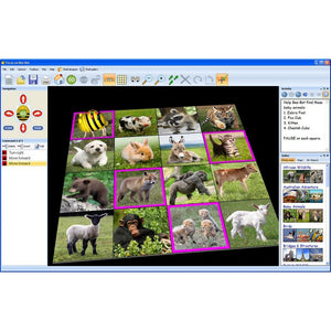 Bee-Bot Software - Lesson Activities 3 - Site License