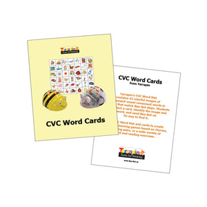 CVC Word Cards for Bee-Bot Transparent Pocket Mats